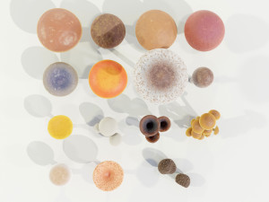 Mushrooms Collection 3Dモデル