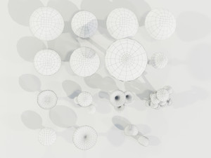Mushrooms Collection 3Dモデル