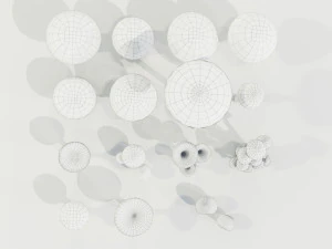 Mushrooms Collection 3D Model