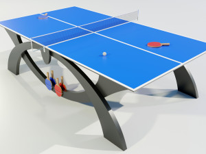 Ping Pong Table Modello 3D