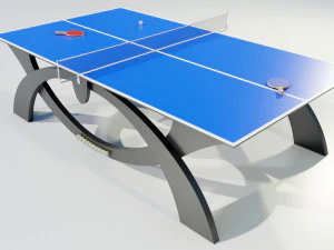 Ping Pong Table 3D Model