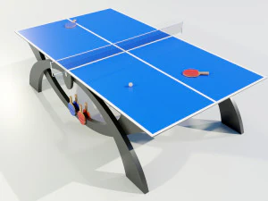 Ping Pong Table 3D Model