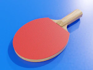 Ping Pong Table 3D Model