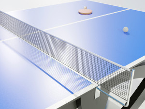 Ping Pong Table Modello 3D