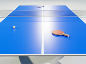 Ping Pong Table 3D Model