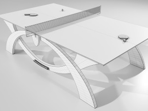 Ping Pong Table Modello 3D