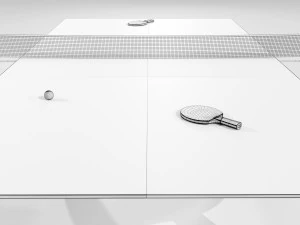 Ping Pong Table 3D Model