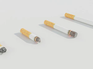 Cigarettes 3D Model
