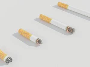 Cigarettes 3Dモデル