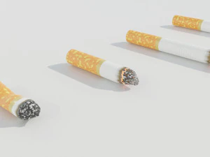 Cigarettes 3D Model
