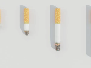 Cigarettes 3D Model
