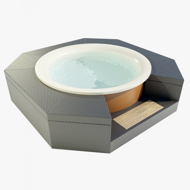 Hot Tub 3D Model .c4d .max .obj .3ds .fbx .stl .blend 
