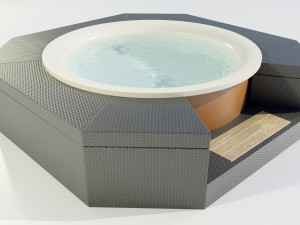 Hot Tub 3D Model