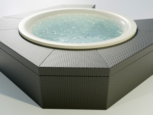 Hot Tub 3D Model