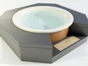 Hot Tub 3D Model