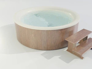 Hot Tub 3D Model