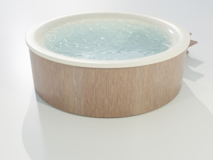 Hot Tub 3D 모델