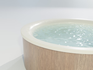 Hot Tub 3D 모델