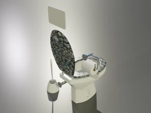 Toilet 3D Model