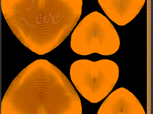 Heart Shaped Balloons 3D Модель