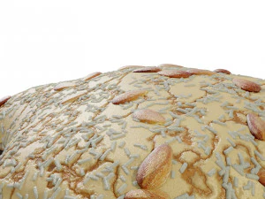 Colomba di Pasqua Modello 3D