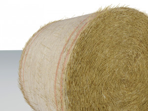 Round Hay Bale 3D 모델