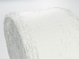 Round Hay Bale 3D 모델
