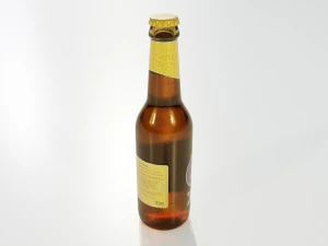 Generic Beer Bottle 3D Model