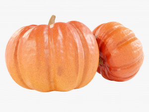 Pumpkin Modelo 3D