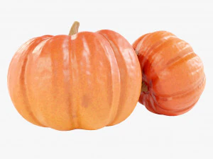 Zucca Modello 3D