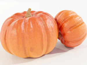 Pumpkin 3D Model