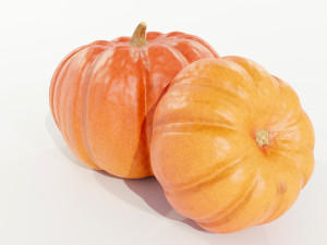 Pumpkin 3D 모델