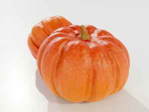 Pumpkin 3D 모델