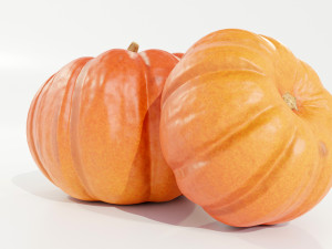 Pumpkin 3D 모델