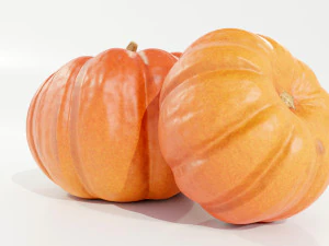 Pumpkin 3D Model