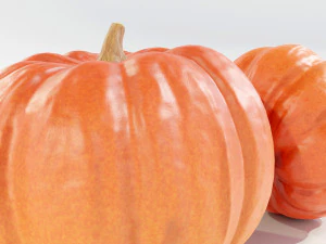 Pumpkin 3D Model