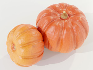 Pumpkin 3D 모델