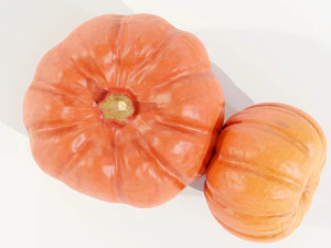 Pumpkin 3D Model