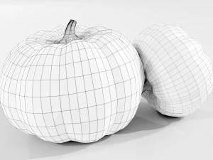 Pumpkin 3D Model