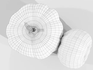 Pumpkin 3D Model
