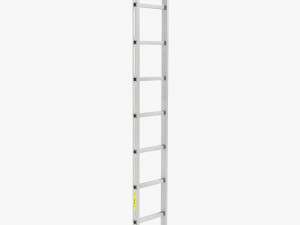 Aluminum Ladder 3D Model