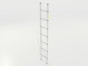 Aluminum Ladder 3D Model