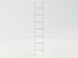 Aluminum Ladder 3D Model