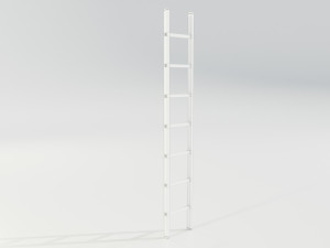 Aluminum Ladder 3D Model