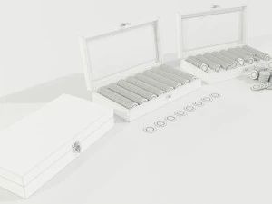 带盒芯片 3D 模型