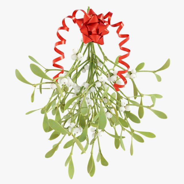 Mistletoe Bunch 3D Model .c4d .max .obj .3ds .fbx .stl .blend 