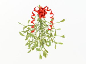 Mistletoe Bunch 3D Model