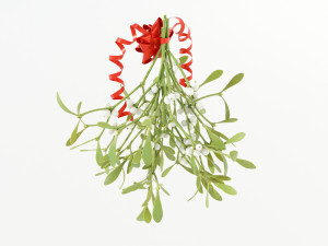 Mistletoe Bunch 3D Model