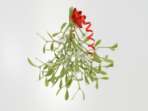 Mistletoe Bunch 3D Model