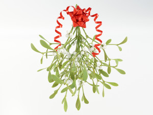 Mistletoe Bunch 3D Model